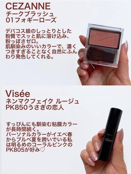 ネンマクフェイク ルージュ/Visée/口紅を使ったクチコミ(6枚目)