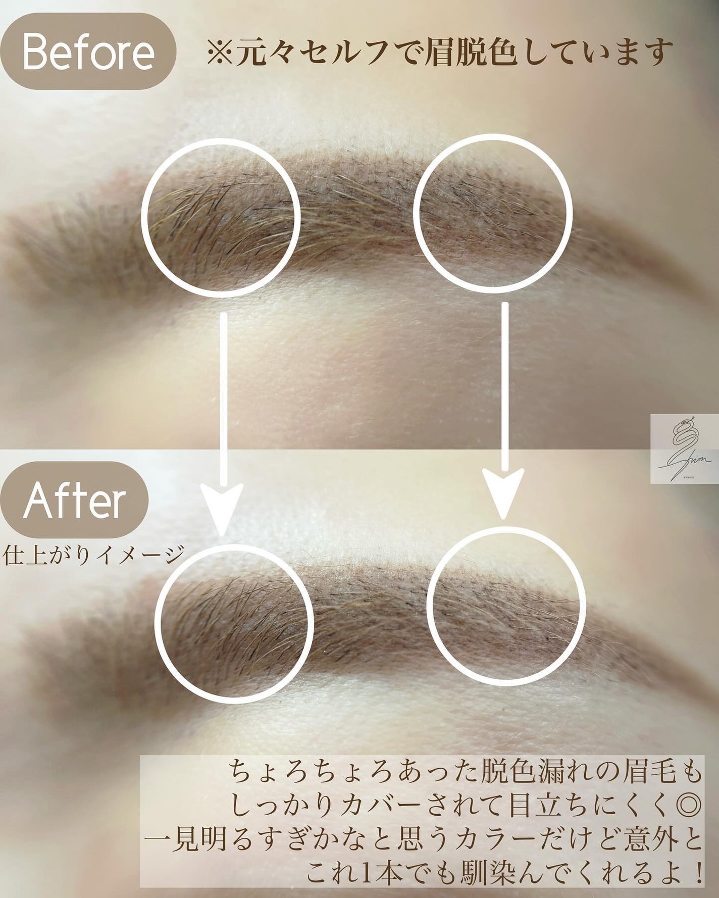 エテュセ アイエディション(ブロウコンシーラー)/ettusais/その他アイブロウを使ったクチコミ(3枚目)