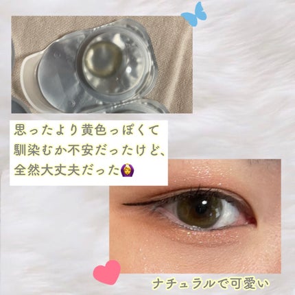 Cheritta 1day ベビーグレージュ(Baby Grege)/Cheritta/ワンデー(1DAY)カラコンの画像