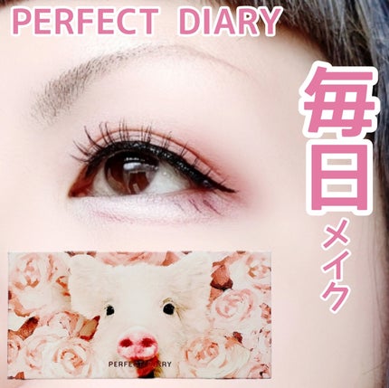 エクスプローラ12色 動物アイシャドウパレット/PERFECT DIARY/アイシャドウパレットを使ったクチコミ(1枚目)