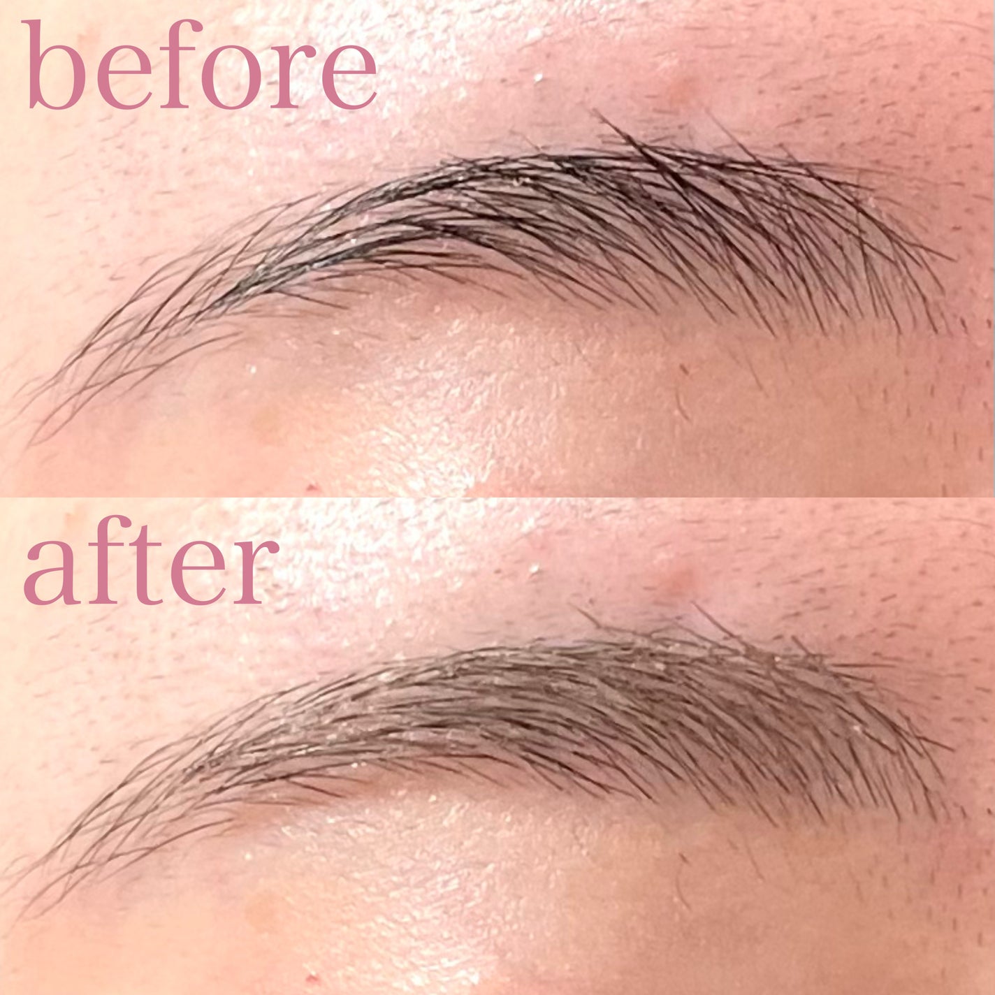 ハンオールブロウカラ/rom&nd/眉マスカラを使ったクチコミ(4枚目)