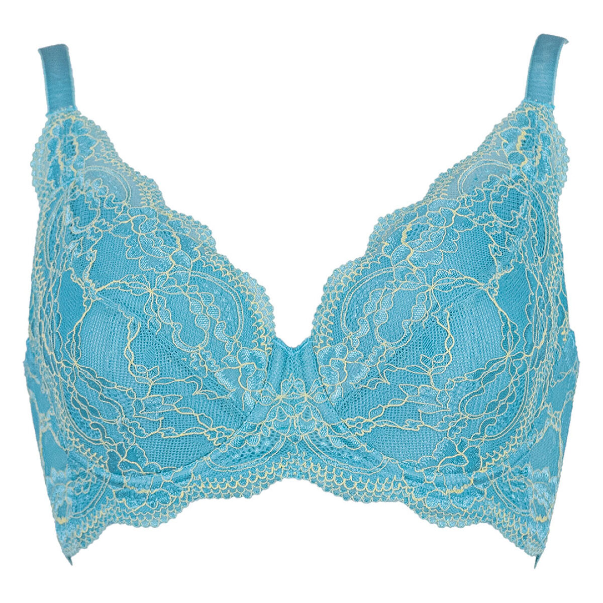 どんとこいブラ アクア