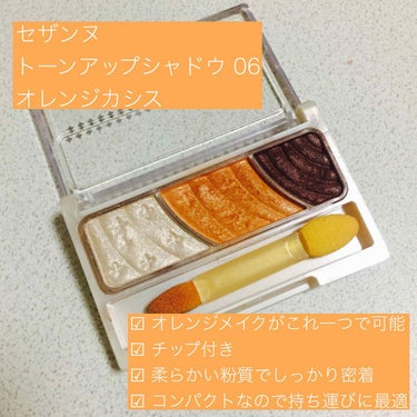 【旧品】パーフェクトスタイリストアイズ/キャンメイク/アイシャドウパレットを使ったクチコミ（2枚目）