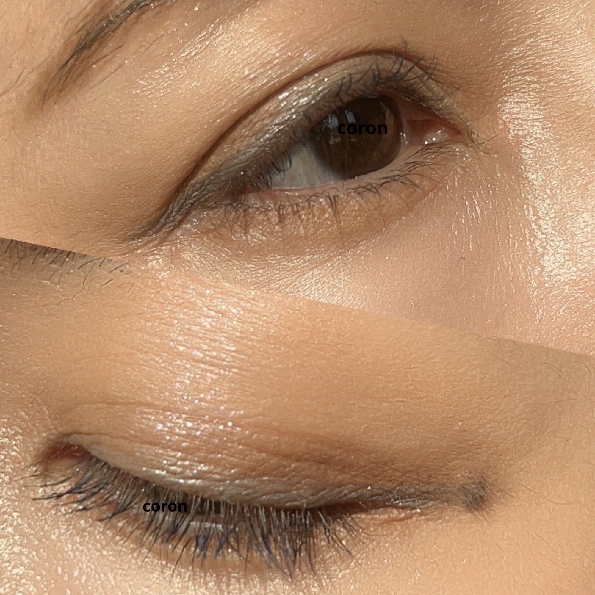 ジルスチュアート ムースブロウマスカラ/JILL STUART/眉マスカラを使ったクチコミ（2枚目）