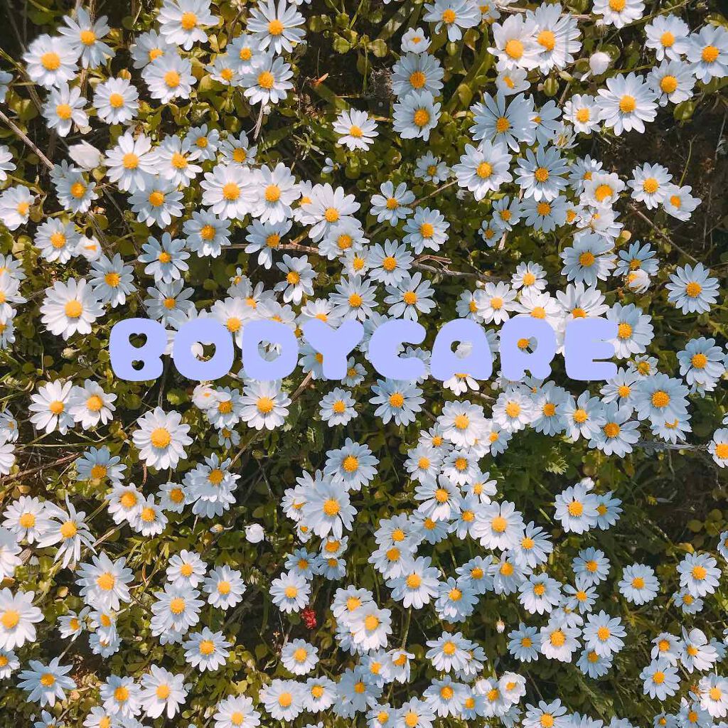 ボディバター シア/THE BODY SHOP/ボディクリームを使ったクチコミ（1枚目）