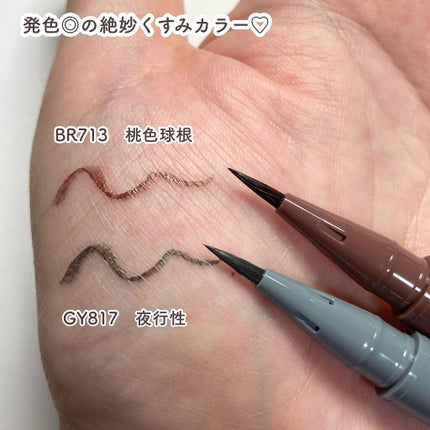 ラインエキスパンダー /MAJOLICA MAJORCA/リキッドアイライナーを使ったクチコミ(4枚目)