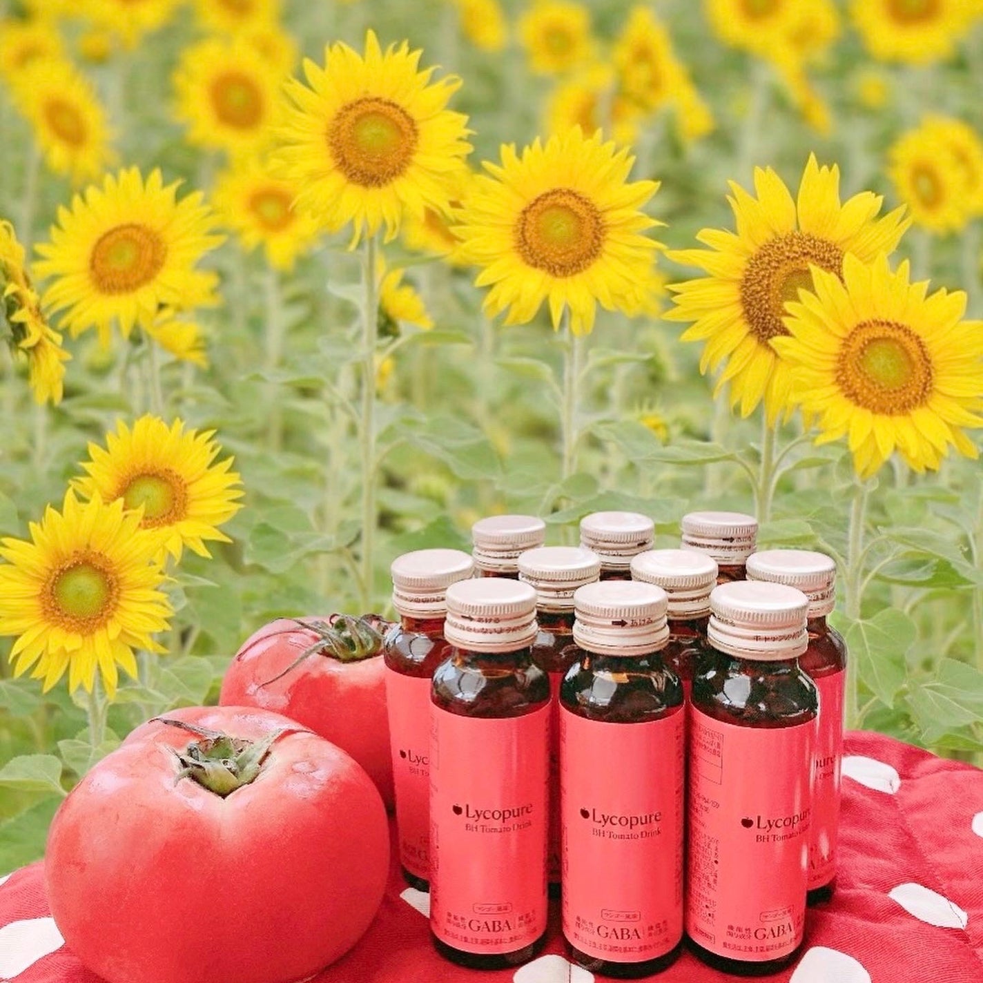 BH トマトドリンク/リコピュア/美容ドリンクを使ったクチコミ(2枚目)