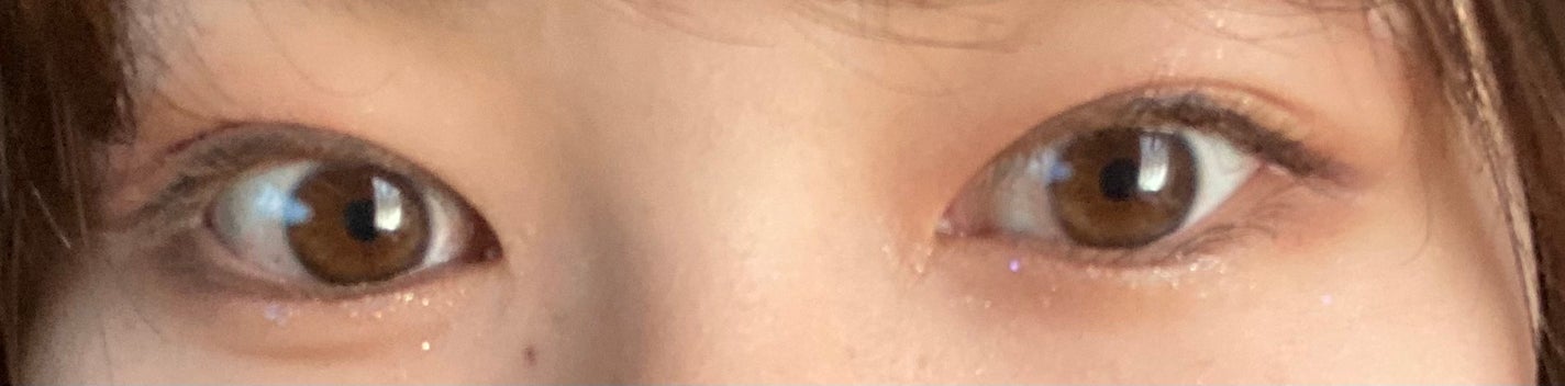 長相思シリーズ 9色アイシャドウパレット/CATKIN/アイシャドウパレットを使ったクチコミ(1枚目)