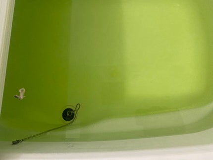 びっくらたまご ポケットモンスター イーブイフレンズフィギュアコレクション/バンダイ/炭酸系入浴剤を使ったクチコミ(5枚目)