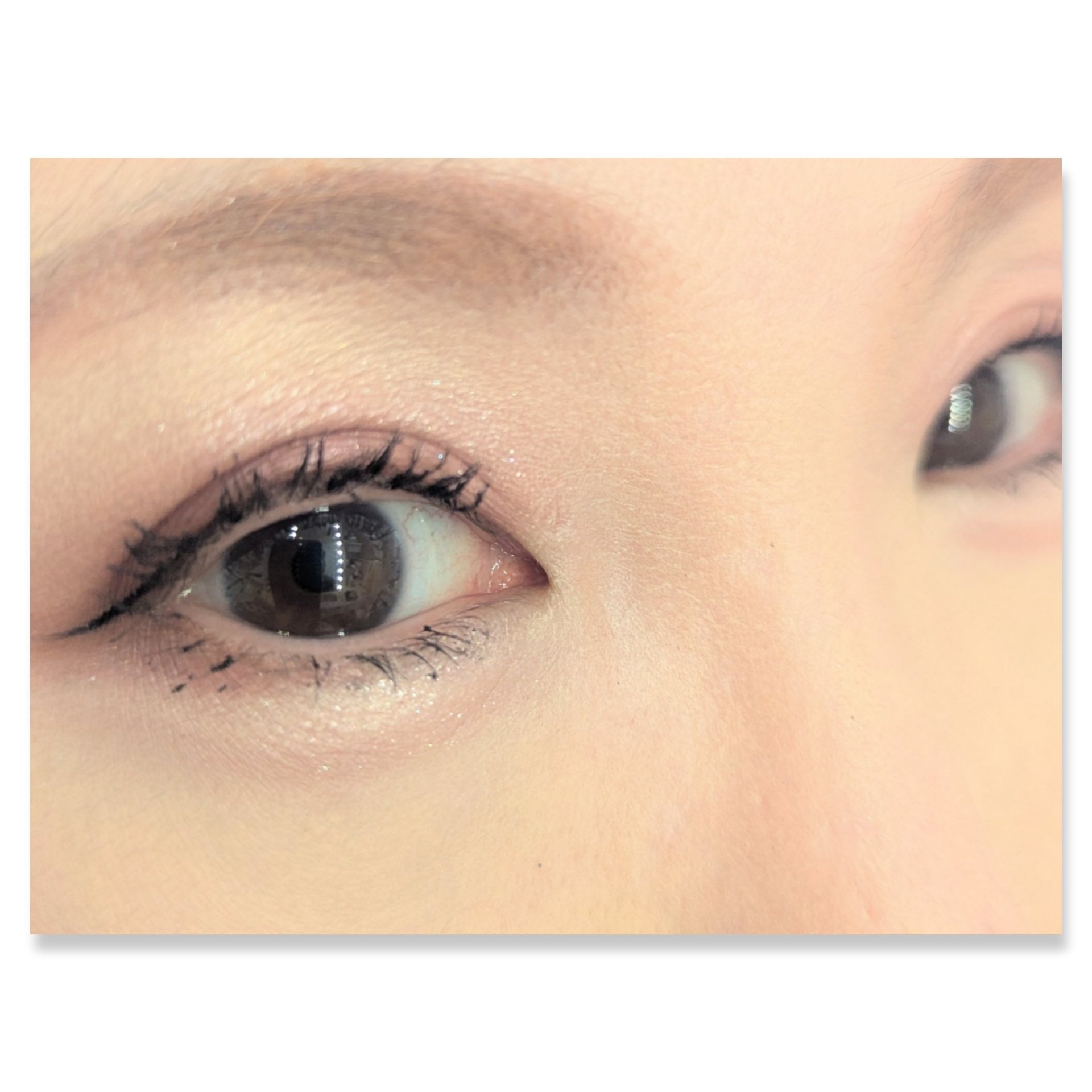 デザイニングブラウンアイズ/KATE/アイシャドウパレットを使ったクチコミ（2枚目）