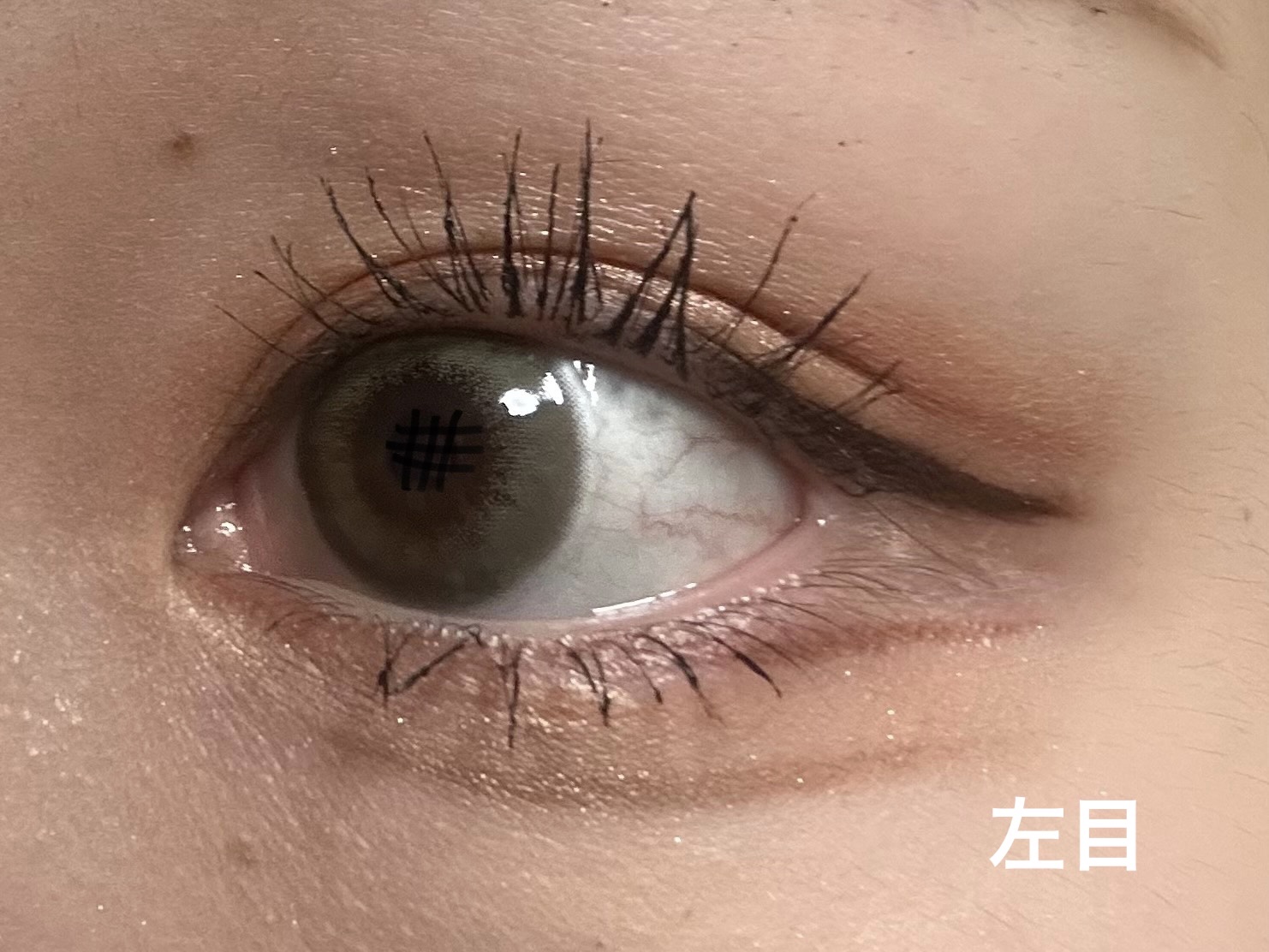 【旧品】パーフェクトスタイリストアイズ/キャンメイク/アイシャドウパレットを使ったクチコミ（1枚目）