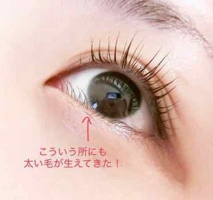 スカルプD ボーテ ピュアフリーアイラッシュセラム/アンファー(スカルプD)/まつげ美容液を使ったクチコミ(2枚目)