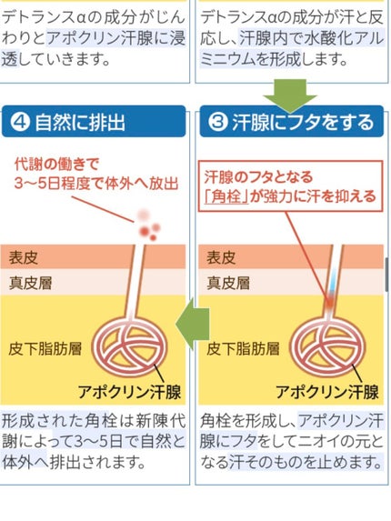 デトランス α/Perspirex/デオドラント・制汗剤を使ったクチコミ(4枚目)