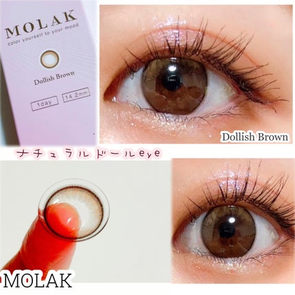 MOLAK 1day/MOLAK/ワンデー(1DAY)カラコンを使ったクチコミ(1枚目)