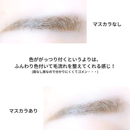 ワイルドブロウシェイパー/Laka/その他アイブロウを使ったクチコミ(5枚目)