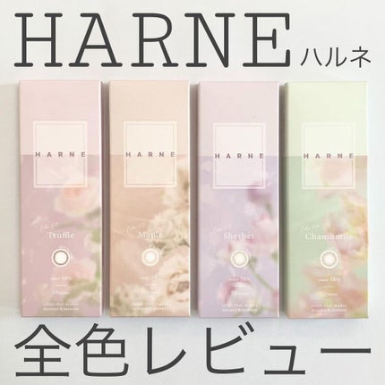 HARNE 1day/HARNE/ワンデー(1DAY)カラコンを使ったクチコミ(1枚目)