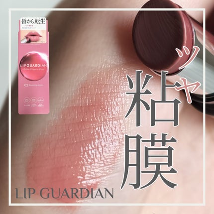メロウラッピングルージュ/LIPGUARDIAN/口紅を使ったクチコミ(1枚目)