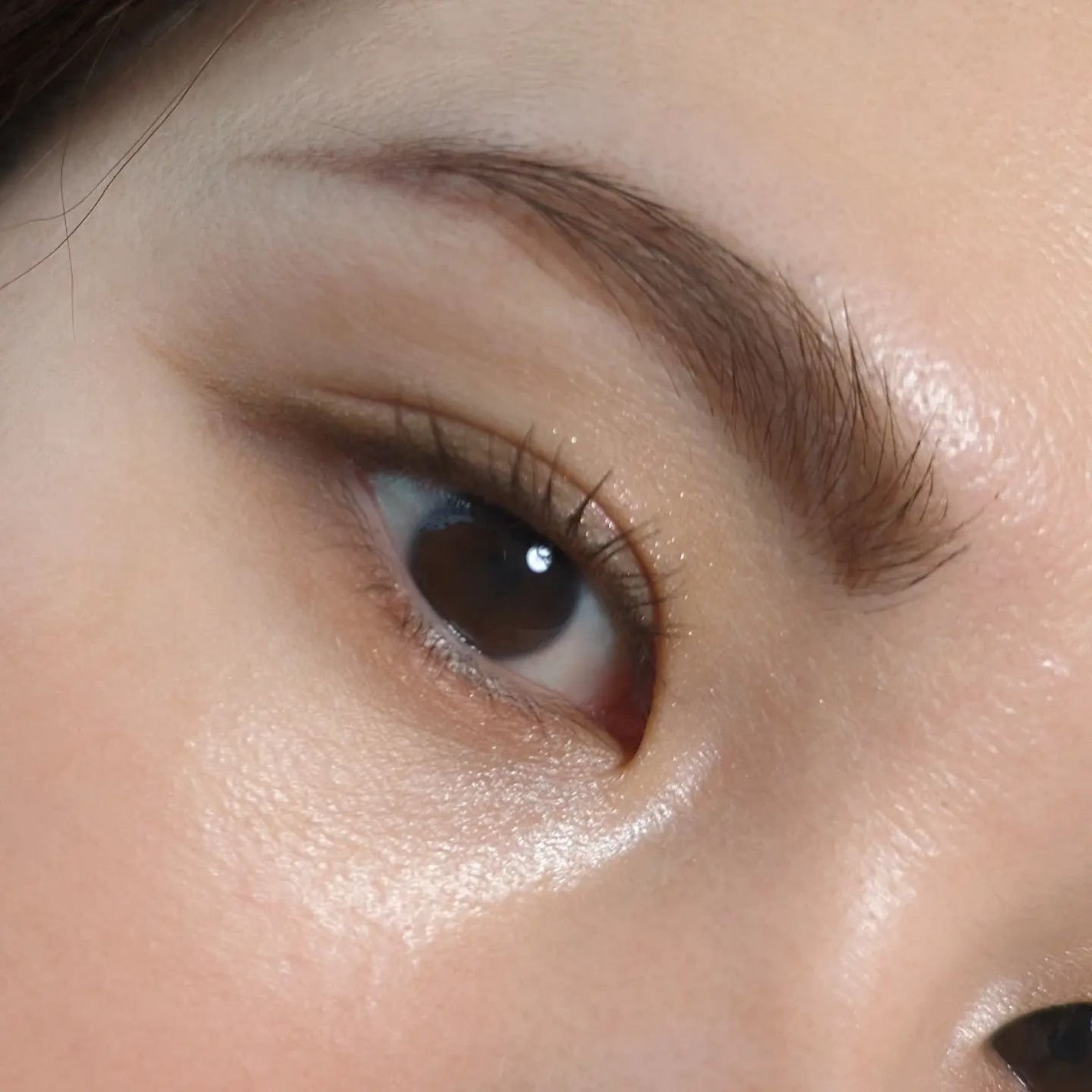 ラスティングマルチアイベース WP/キャンメイク/アイシャドウベースを使ったクチコミ(2枚目)