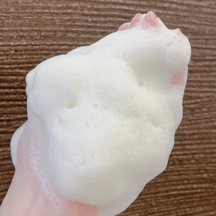 グリーンティー&エンザイムパウダーウォッシュ/By Wishtrend/洗顔パウダーを使ったクチコミ(3枚目)