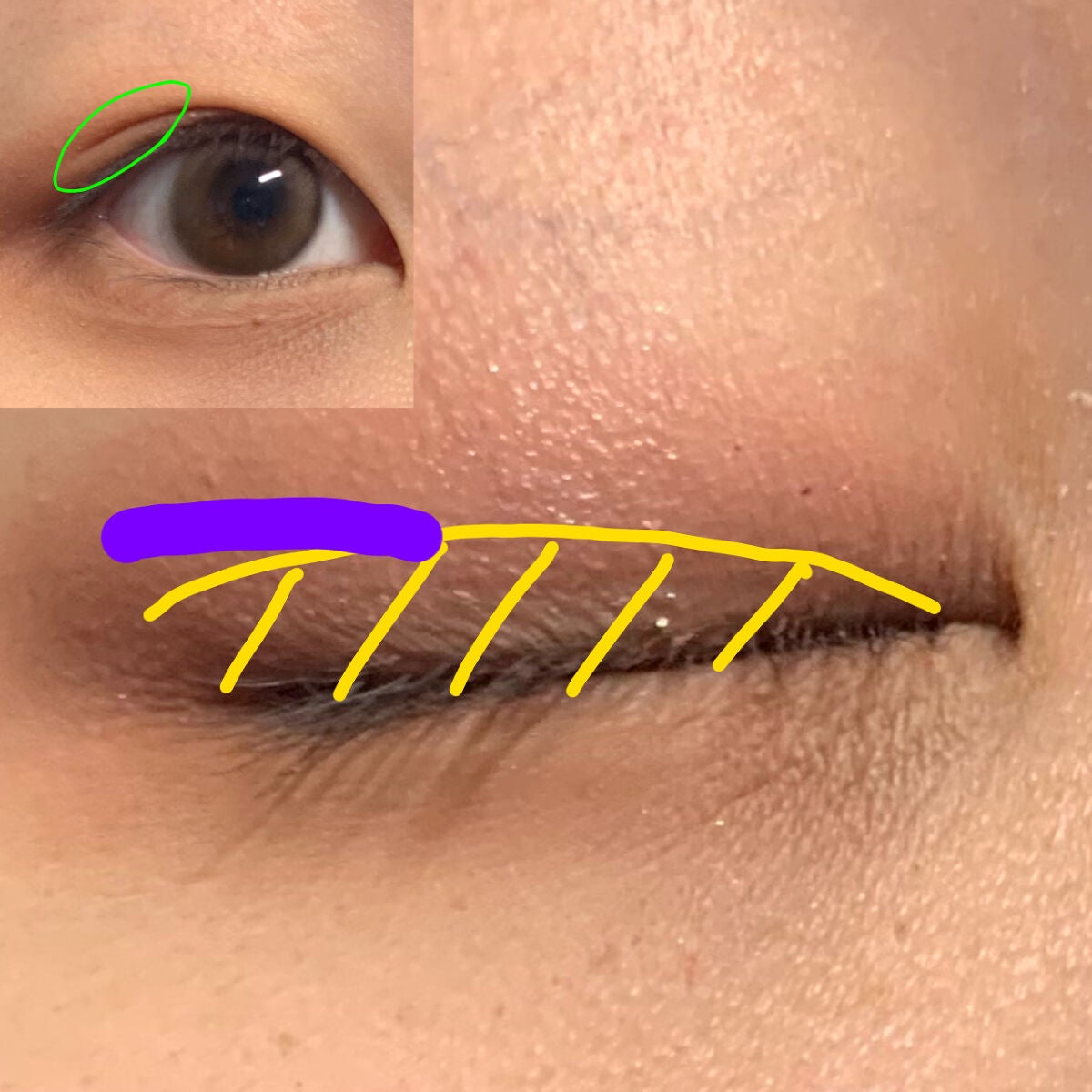 のびーるアイテープ スリムタイプ/DAISO/二重まぶた用アイテムを使ったクチコミ(4枚目)