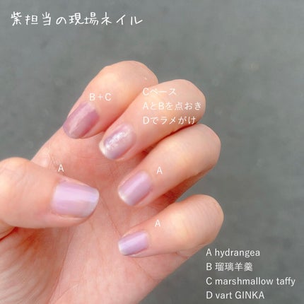 ヴェイル オリジナルネイルカラー GINKA/Vart/マニキュアの画像