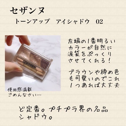 【旧品】パーフェクトスタイリストアイズ/キャンメイク/アイシャドウパレットを使ったクチコミ(2枚目)