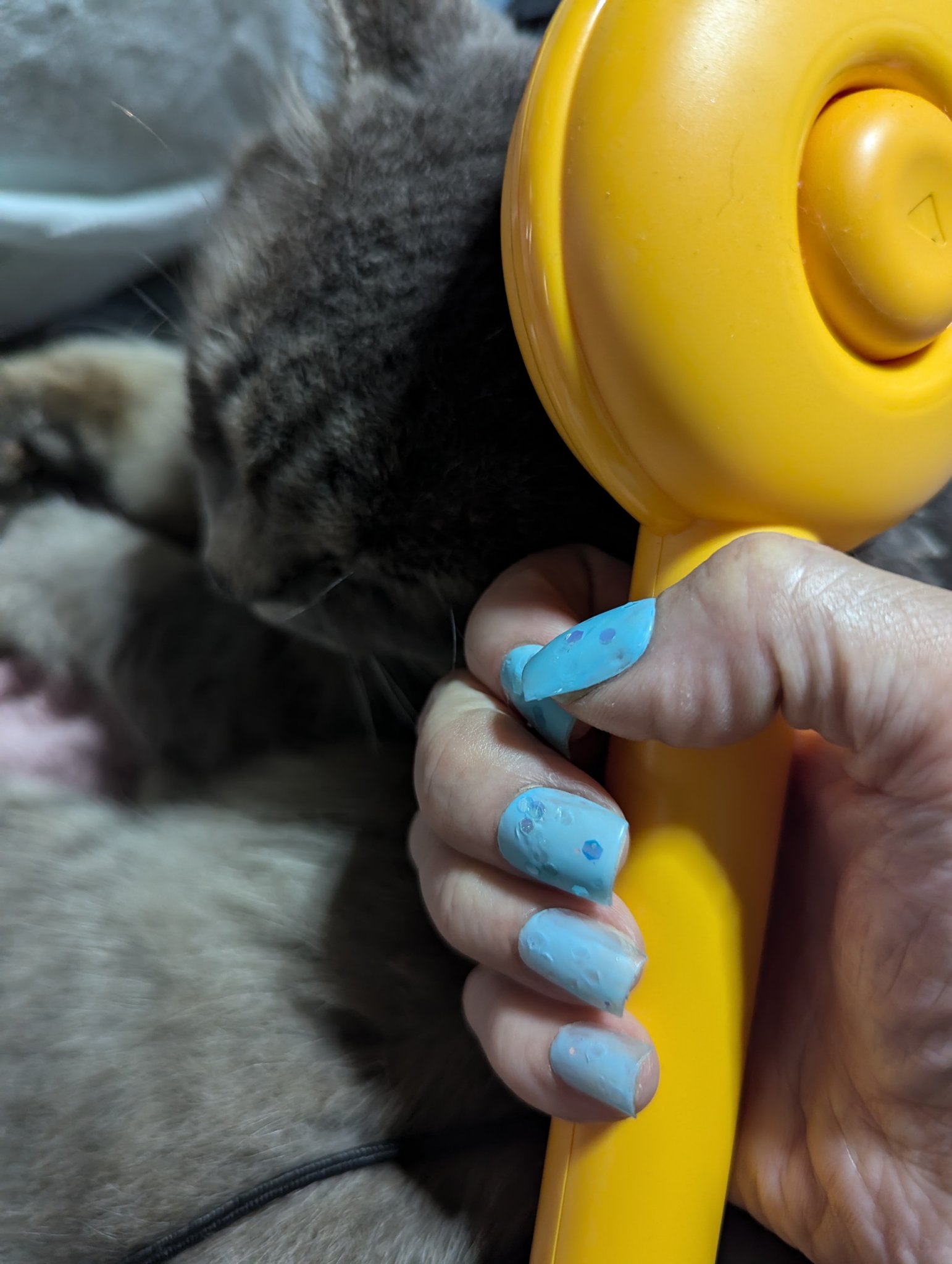 ネイルホリック BL917/ネイルホリック/マニキュアを使ったクチコミ（1枚目）