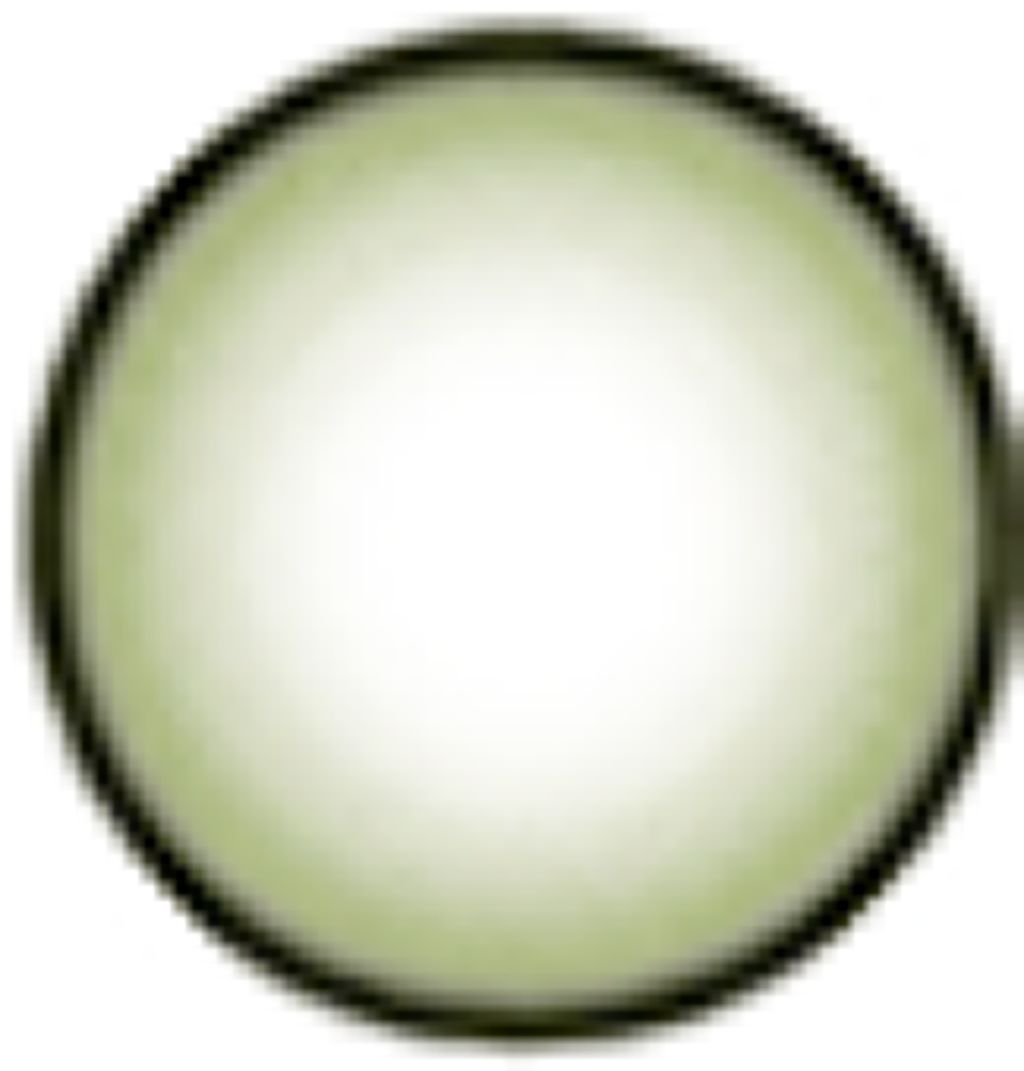 チャーミングオリーブブラウン