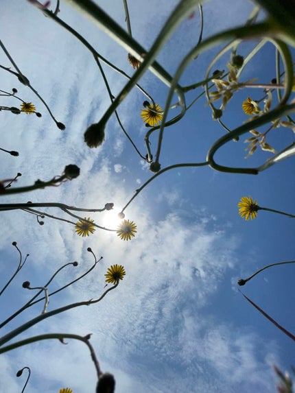 みお on LIPS 「皆さんは写真を撮るのは好きですか?どうも乾燥肌のみおです!なん..」(4枚目)