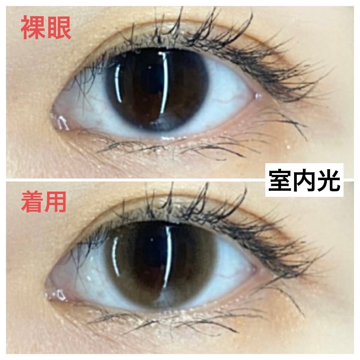 ルイ バイ カラーマジョリティー /louis by COLOR MAJORITY/カラーコンタクトレンズを使ったクチコミ(4枚目)