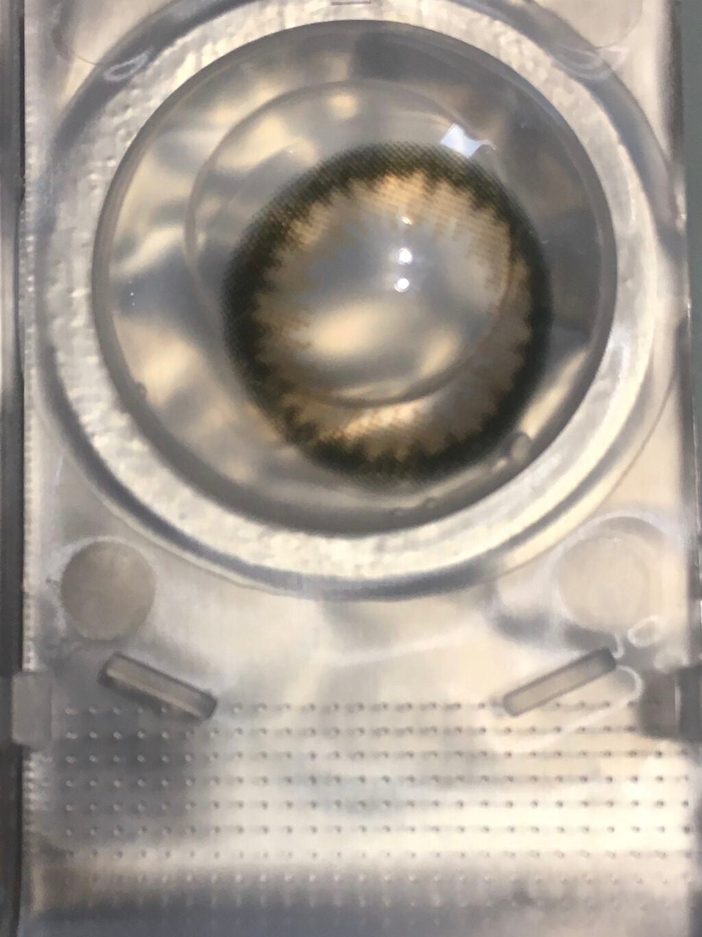 ワンデーキャラアイ カラーシリーズ/Cara Eyes/ワンデー(1DAY)カラコンを使ったクチコミ(3枚目)