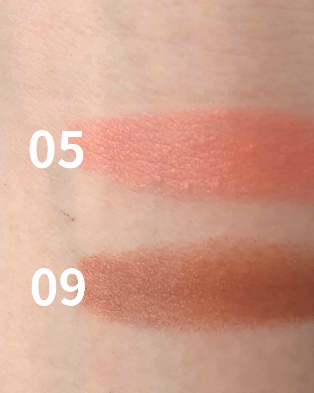 ディグニファイド リップス 05 アイスオレンジ/Celvoke/口紅を使ったクチコミ（2枚目）