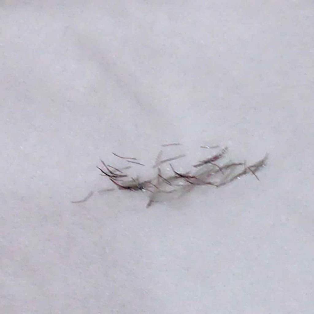 ラッシュマキシマイザーN/KATE/マスカラ下地を使ったクチコミ（3枚目）