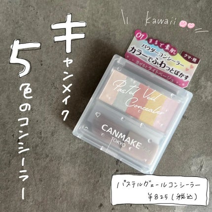 パステルヴェールコンシーラー/キャンメイク/パレットコンシーラーを使ったクチコミ(1枚目)