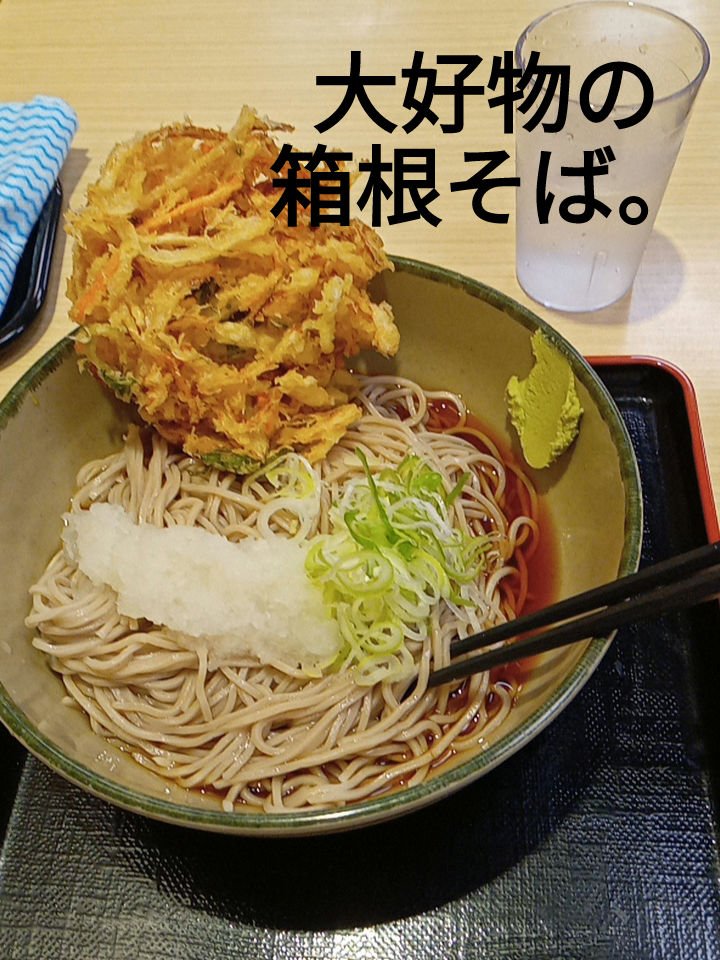 アクア アレゴリア グラナダ サルヴィア/GUERLAIN/香水を使ったクチコミ（1枚目）