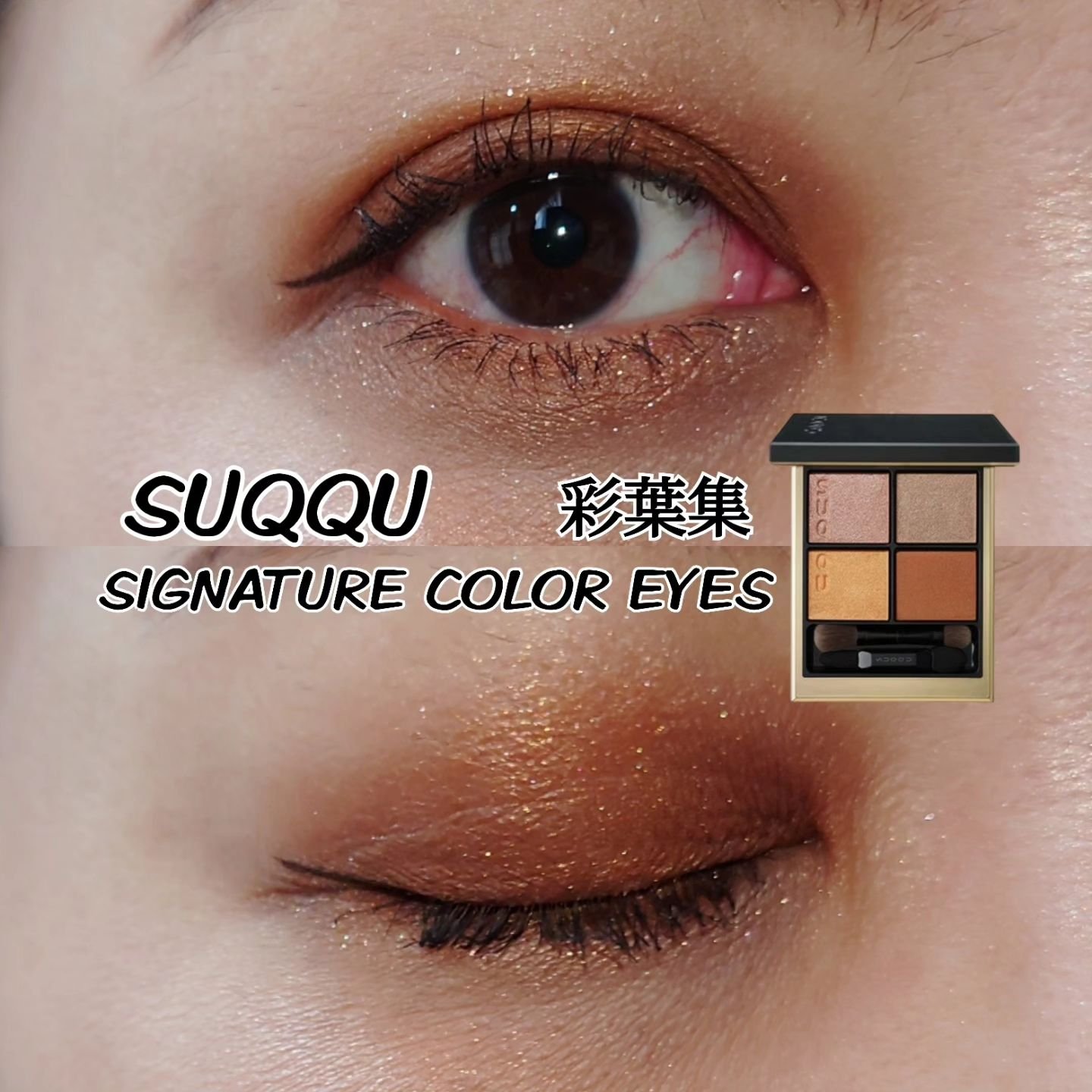 シグニチャー カラー アイズ 10 彩葉集 -IROHAATSUME / SUQQU(スック