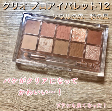 プロ アイ パレット/CLIO/アイシャドウパレットを使ったクチコミ(2枚目)
