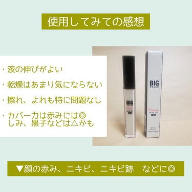 ビッグカバーフィットコンシーラー ニュートラルミント/ETUDE/リキッドコンシーラーの画像