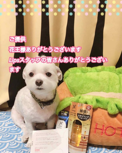 プレイフルケアオイル/リーゼ/ヘアオイルを使ったクチコミ(1枚目)