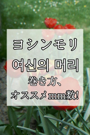 【韓国人風】韓国､日本で人気!!ヨシンモリ🇰🇷の巻き方☺☺


ヨシンモリって知ってますか?

ちょっと前に流行ったか流行ってたか今もか分からないんですけど､個人的にどハマりしている  ヨシンモリ  の