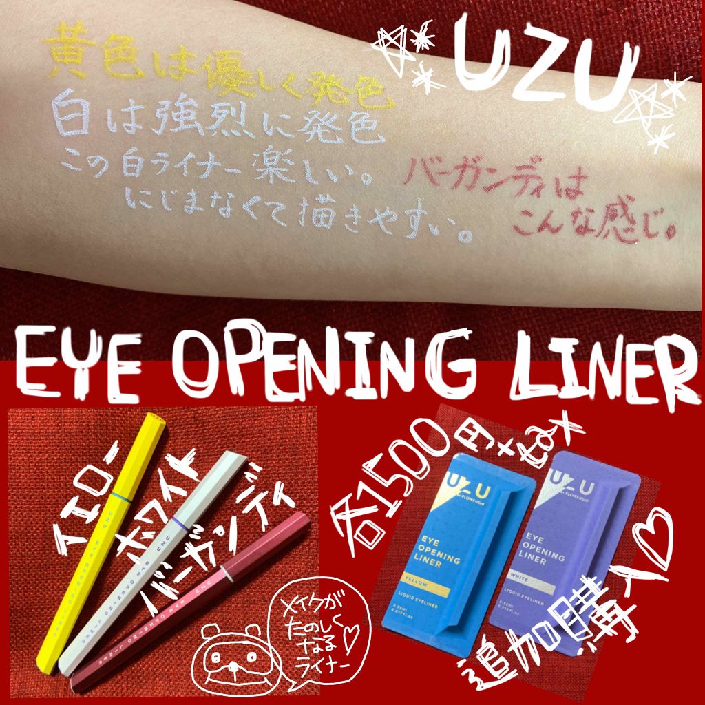 EYE OPENING LINER/UZU BY FLOWFUSHI/リキッドアイライナーを使ったクチコミ(1枚目)