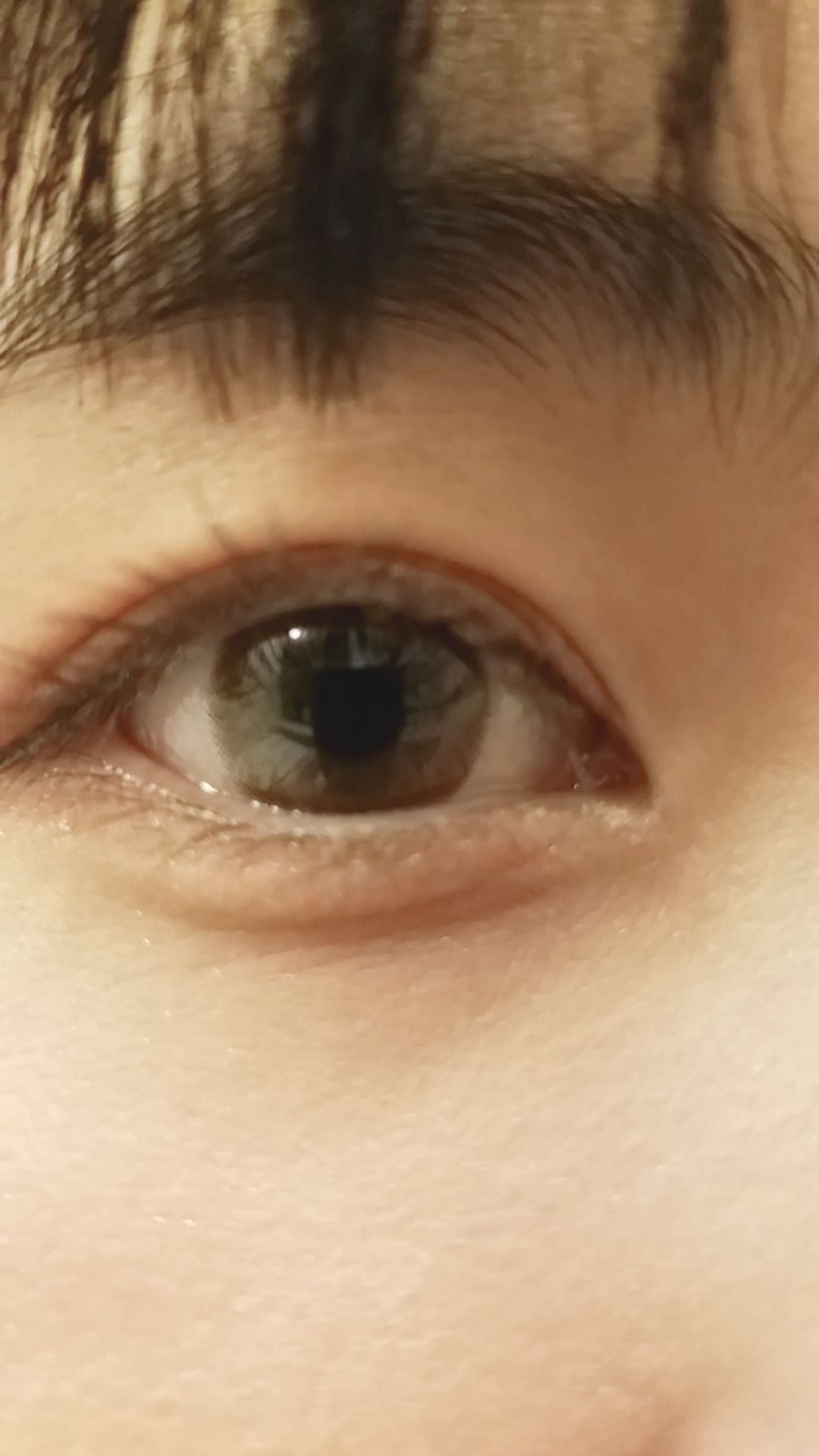 UR GLAM　BLOOMING EYE COLOR PALETTE/U R GLAM/アイシャドウパレットを使ったクチコミ（1枚目）