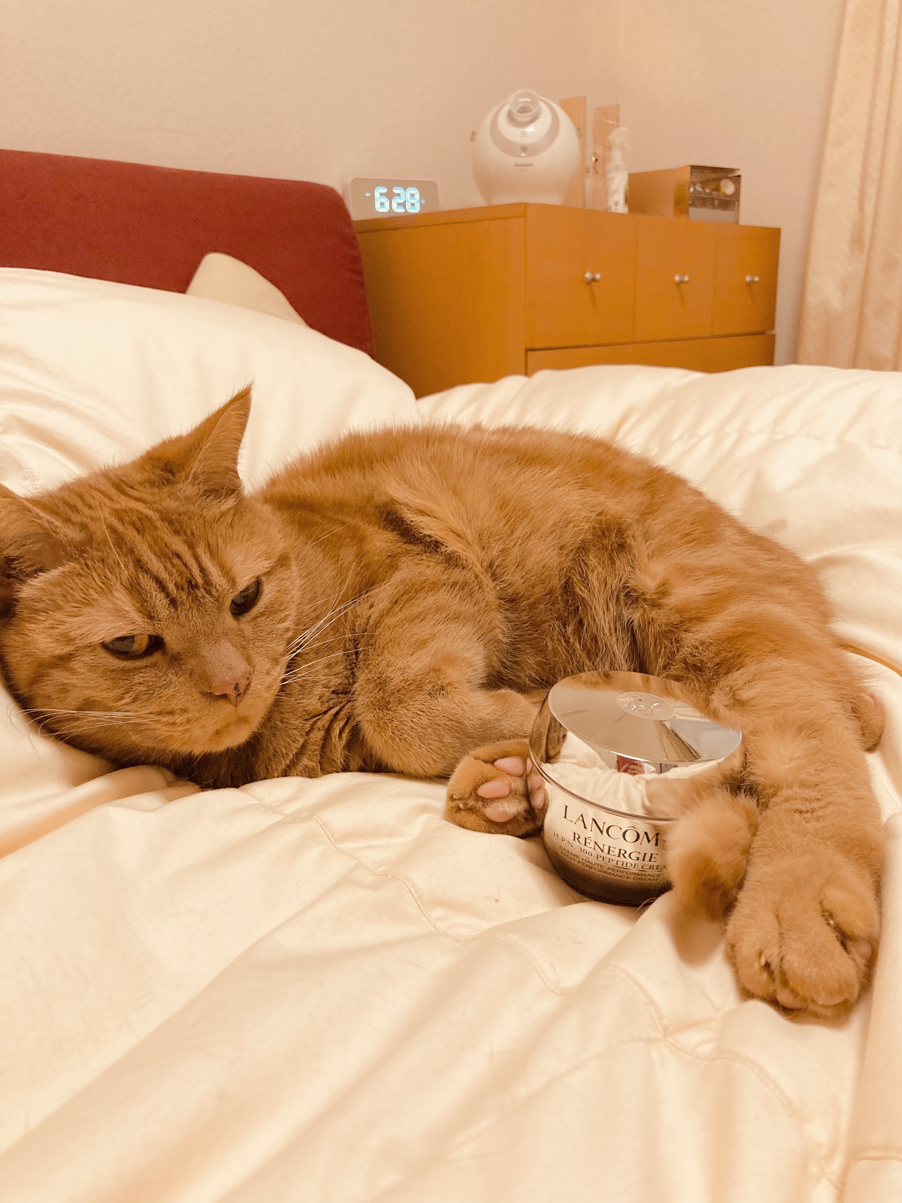 レネルジー HPN クリーム/LANCOME/フェイスクリームを使ったクチコミ（1枚目）