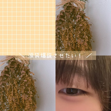 を使ったクチコミ(1枚目)