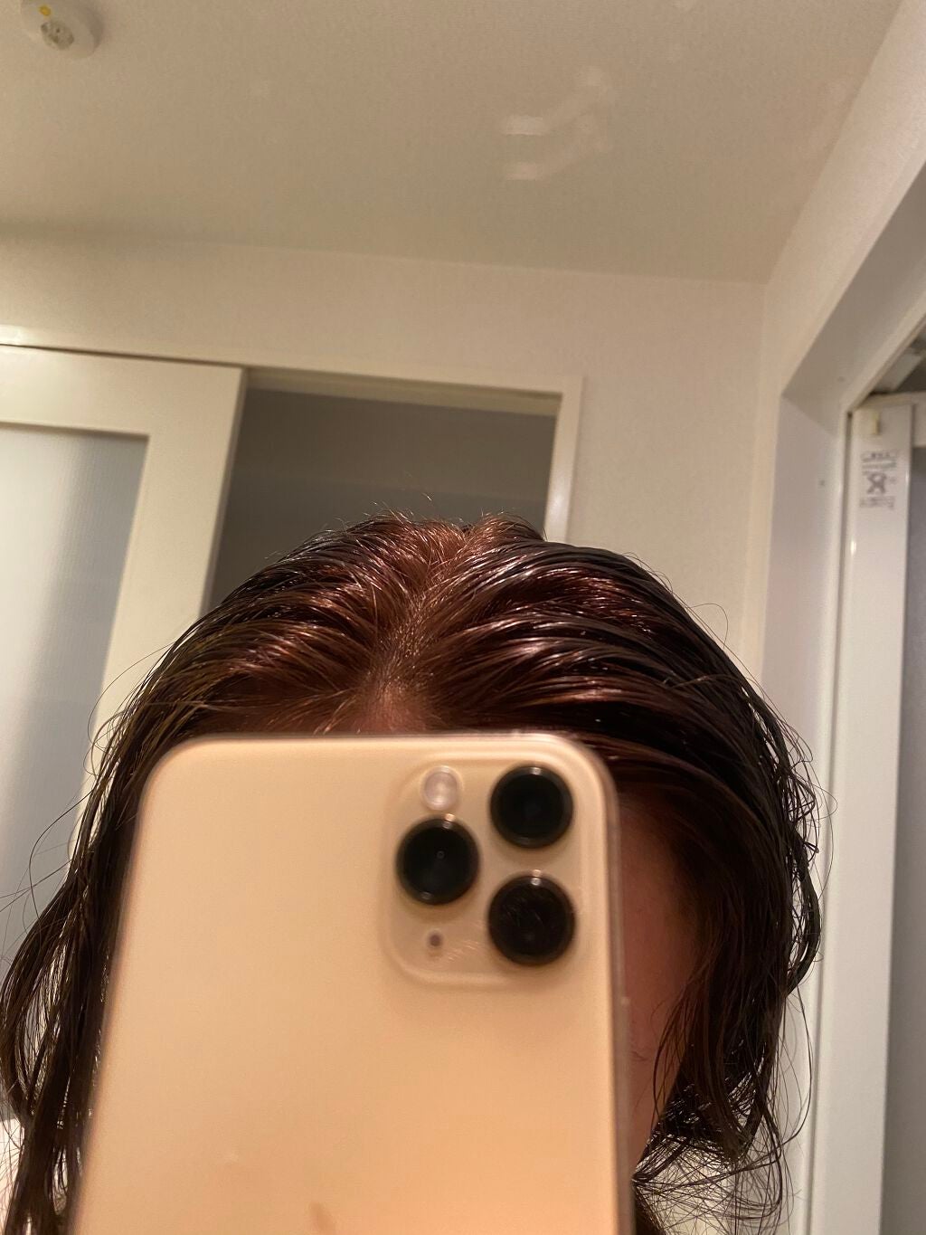 カラーリングミルク【旧】/パルティ/ヘアカラーを使ったクチコミ(9枚目)