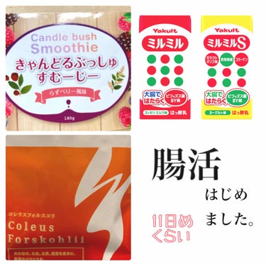 今日もまったり中。


致命的に算数ができない私、
先週から始めた腸活、すでに何日めかわからなくなってきました　(￣▽￣;)


そんなわけで
朝:ヨーグルトにスムージー入れて食べる
昼:ミルミルSを飲