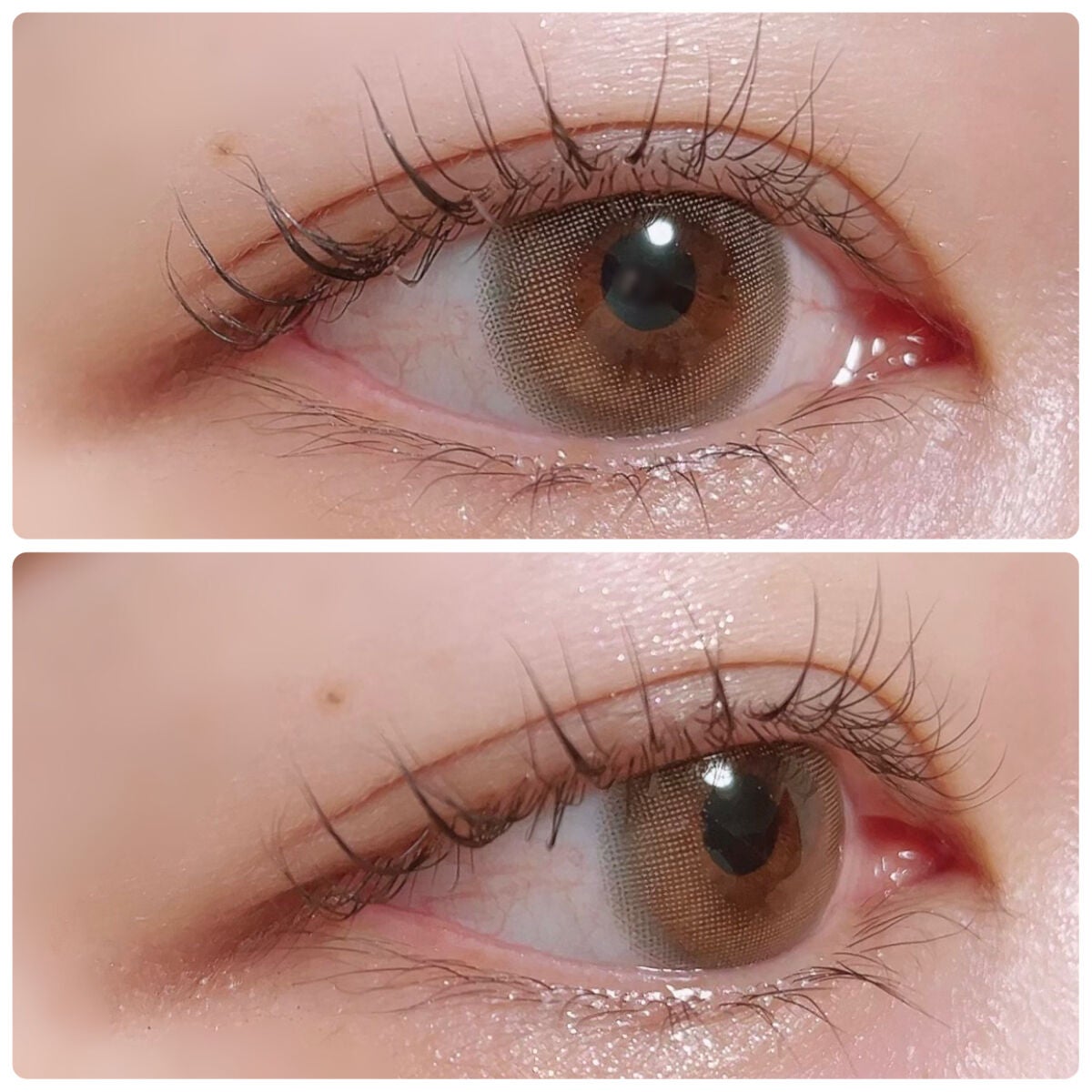 OO!LONG シフォンタイムズアイ/LEEMEMBER/アイシャドウパレットを使ったクチコミ(6枚目)