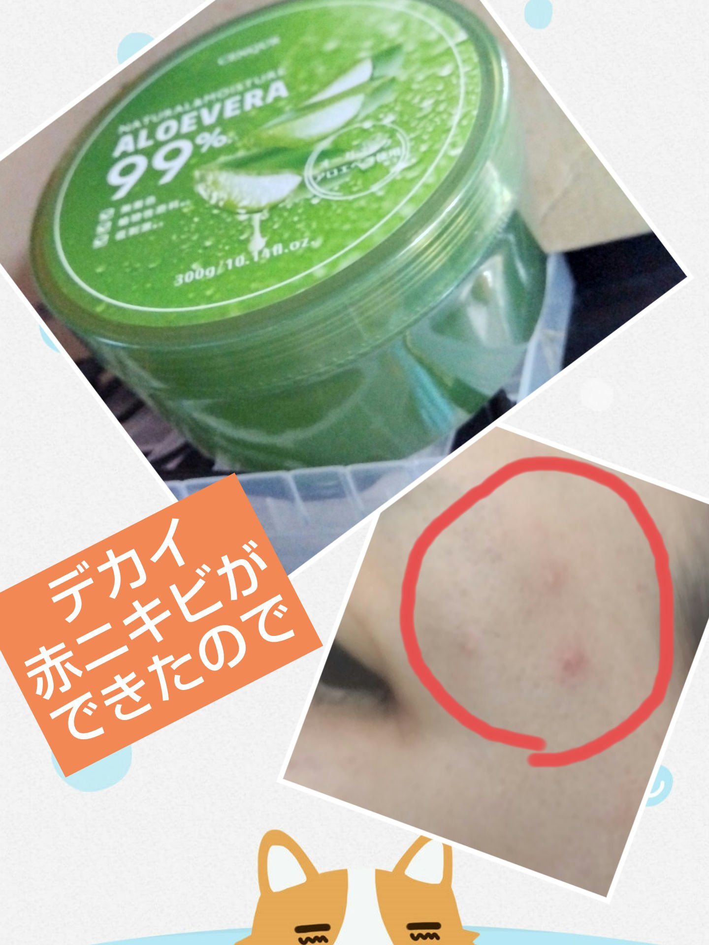 モイスチャーゲルアロエALN/CENQUR/その他スキンケアを使ったクチコミ（2枚目）