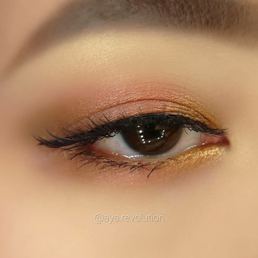 ナイストゥミーチュートランク/MAJOLICA MAJORCA/アイシャドウパレットを使ったクチコミ(2枚目)