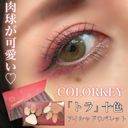 トラ十色アイシャドウパレット/COLORKEY/アイシャドウパレットを使ったクチコミ(1枚目)